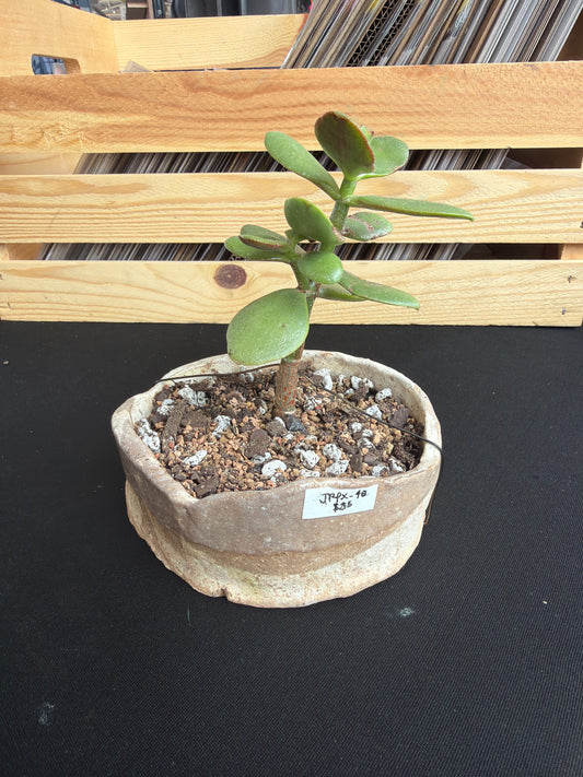 Raku Succulent/Bonsai Pot #40