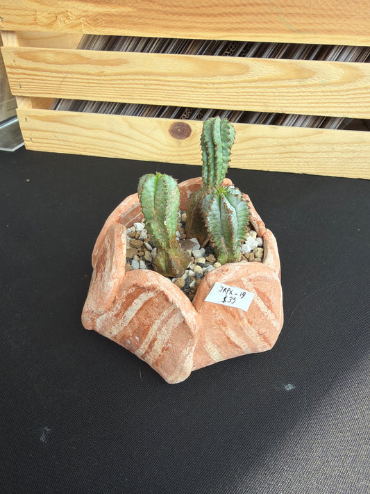 Raku Succulent/Bonsai Pot #19