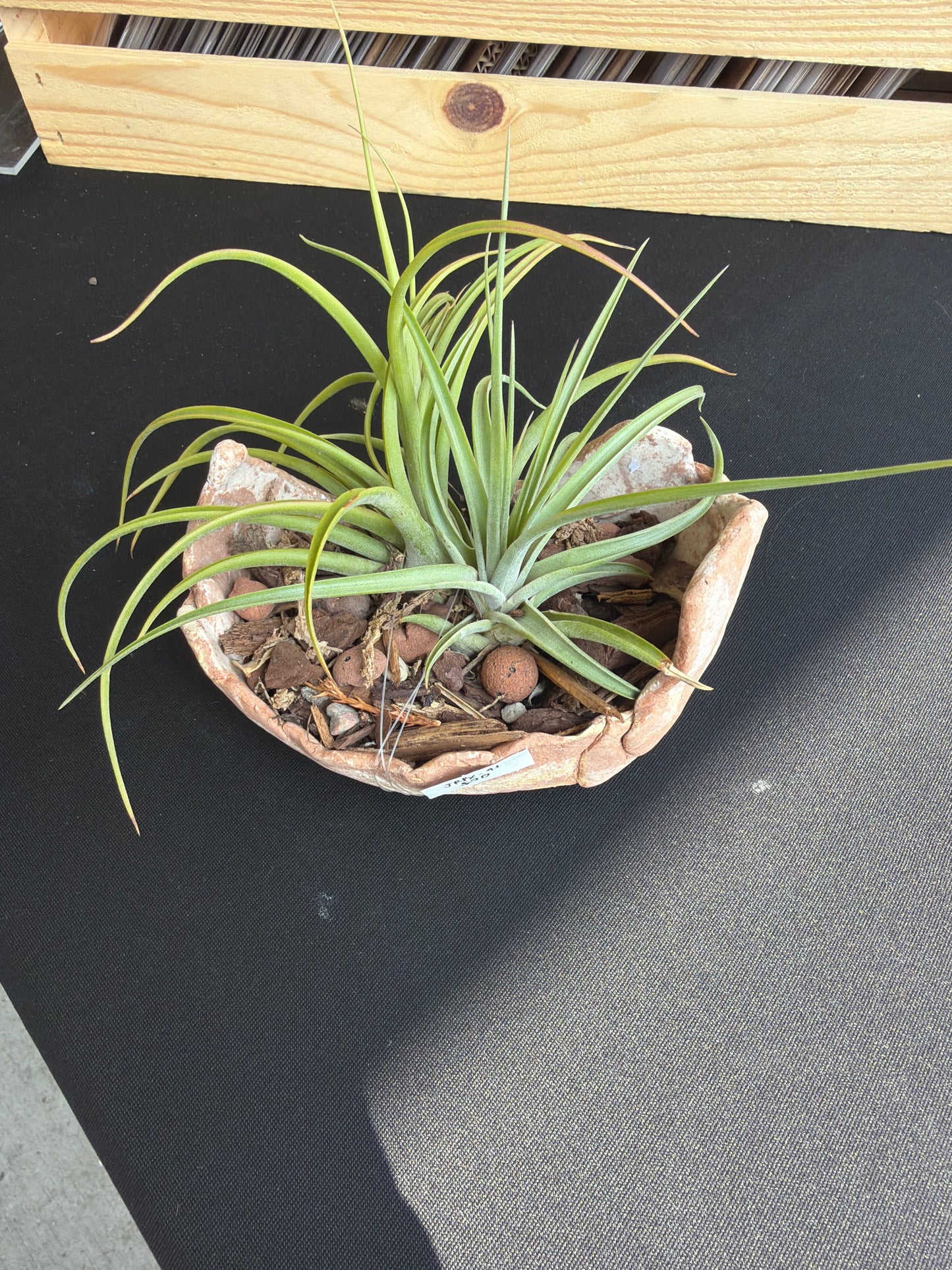 Raku Succulent/Bonsai Pot #41