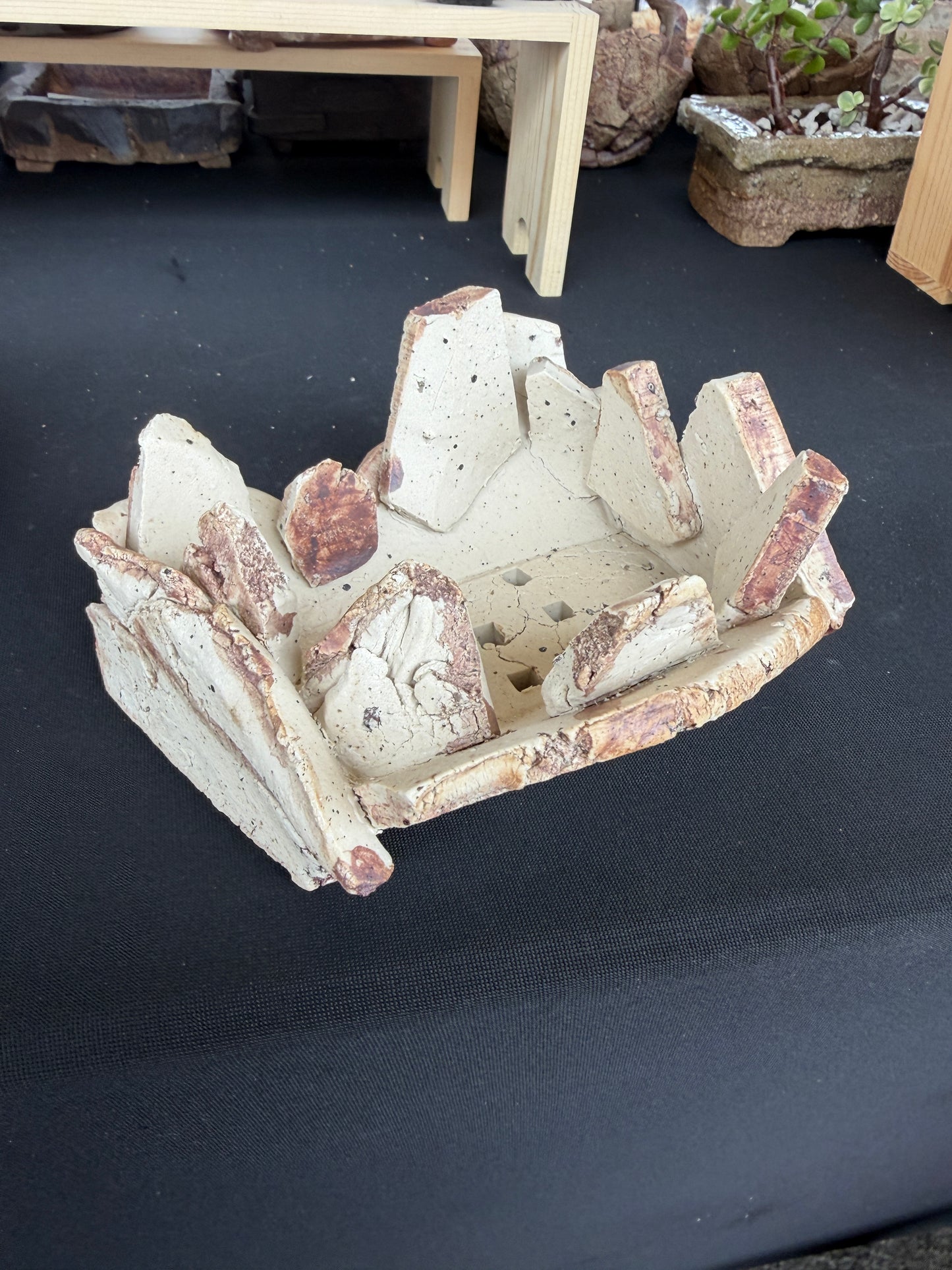 Succulent/Bonsai Pot #58