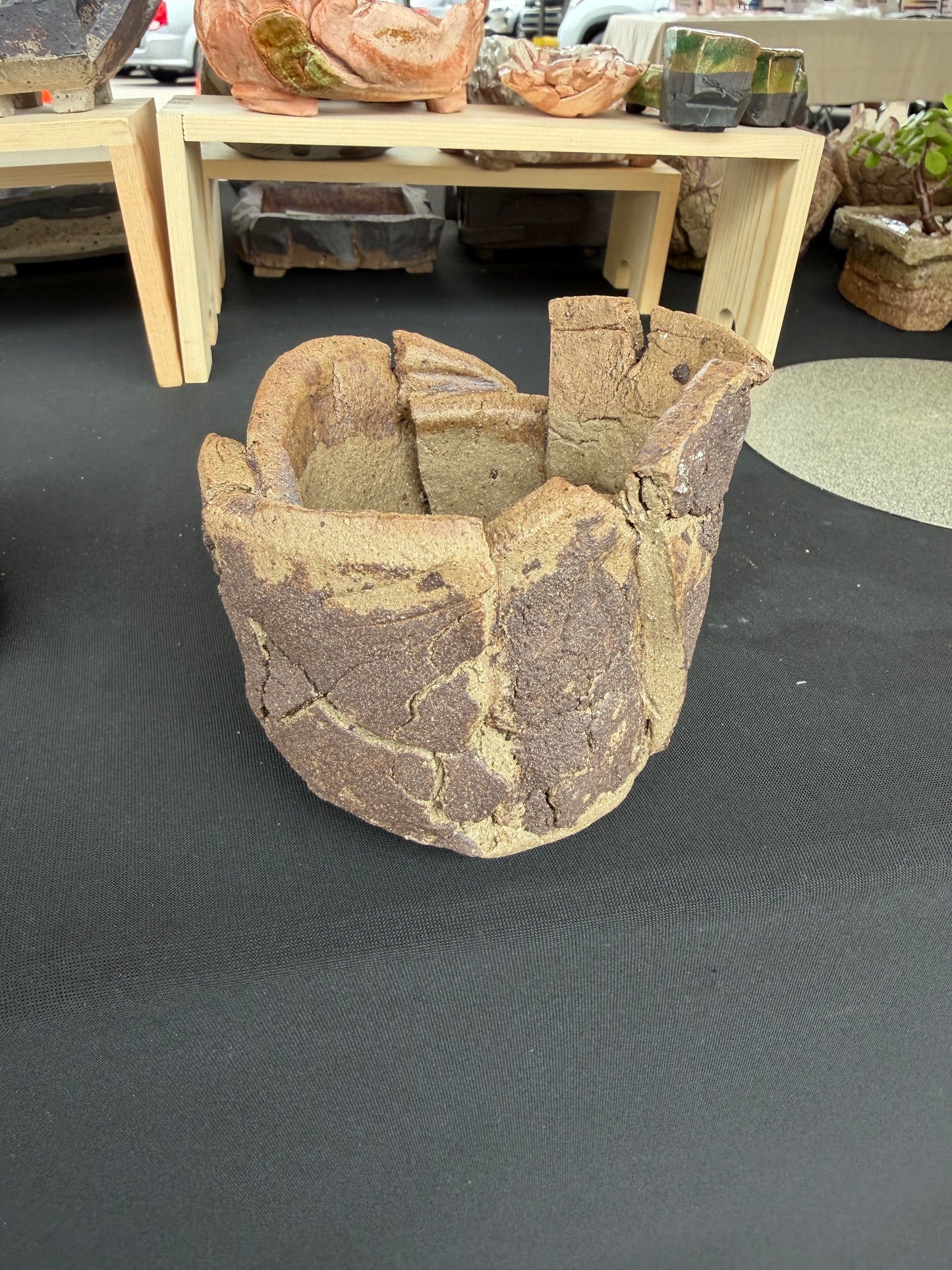 Succulent/Bonsai Pot #38