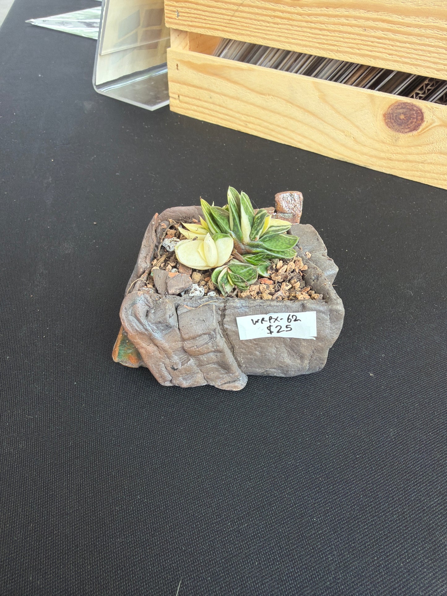 Succulent/Bonsai Pot #62