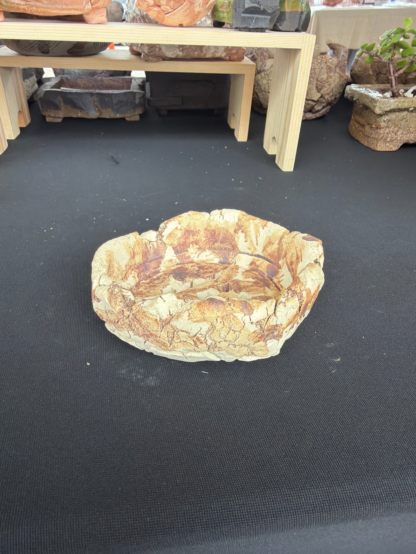 Succulent/Bonsai Pot #52