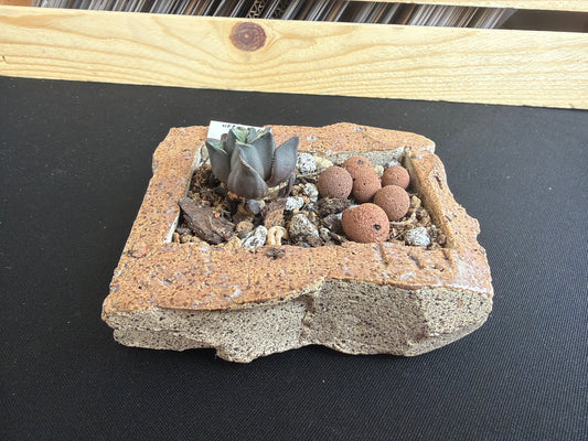 Succulent/Bonsai Pot #56