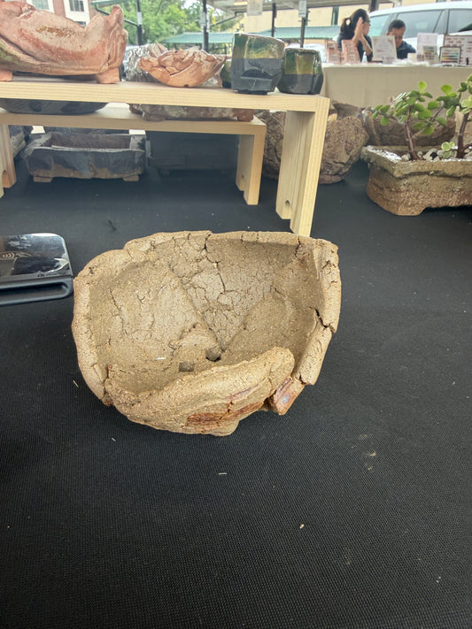 Succulent/Bonsai Pot #48