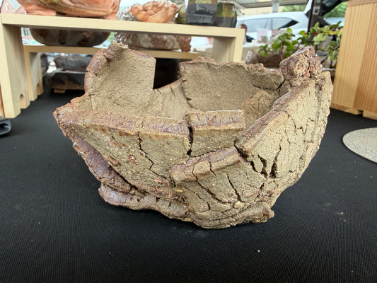 Succulent/Bonsai Pot #49