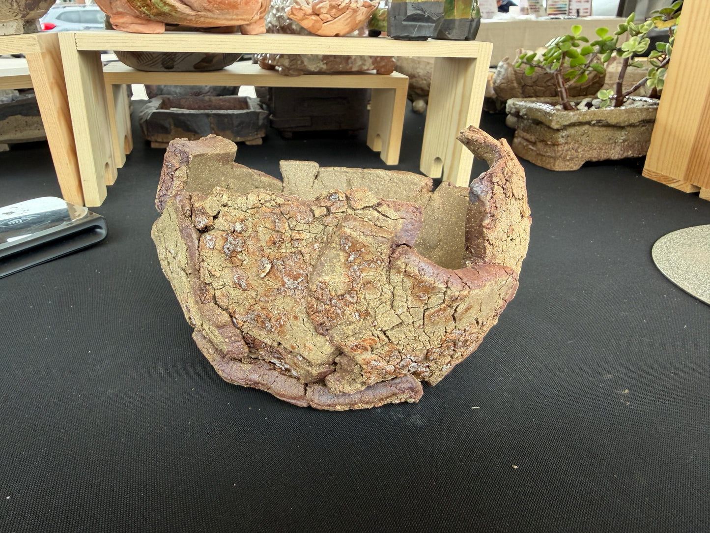 Succulent/Bonsai Pot #49