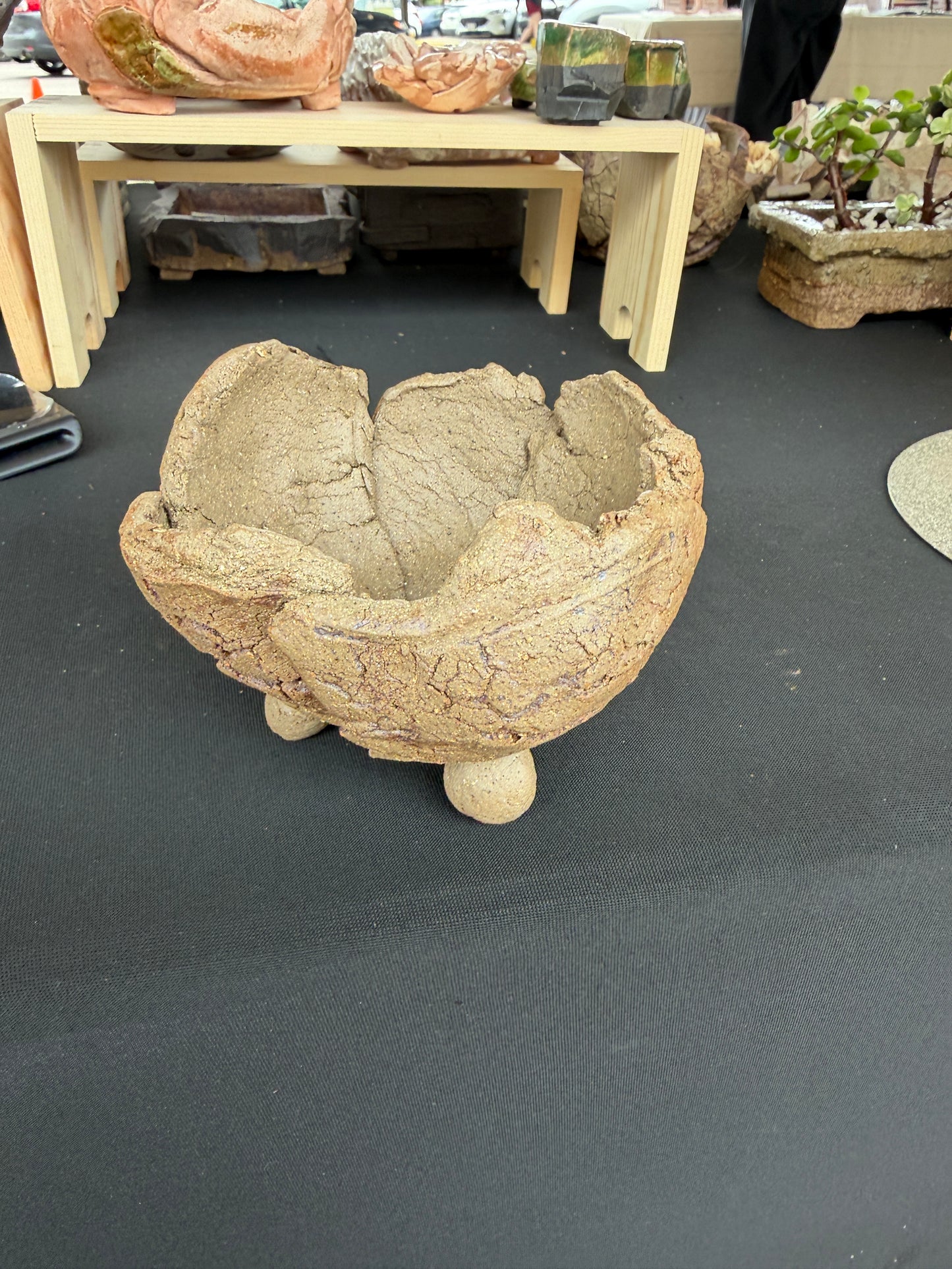 Succulent/Bonsai Pot #51