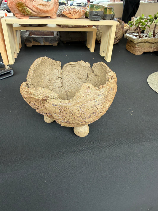 Succulent/Bonsai Pot #51