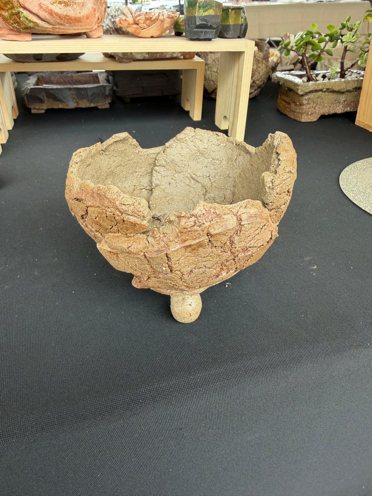 Succulent/Bonsai Pot #51