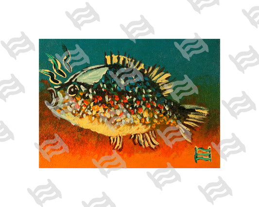 Pumpkin Pie (Giclee Print)